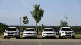 Dekada troski o kierowców - Skoda