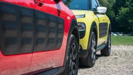 Citroen C4 Cactus PureTech & BlueHDi - galeria redakcyjna - bok - inne ujęcie
