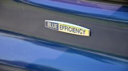 Mercedes Vito W639 Furgon Facelifting 110 CDI 95KM - galeria redakcyjna 3 - listwa progowa