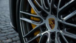 Porsche Panamera (2016) - galeria redakcyjna