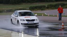 Dekada troski o kierowców - Skoda