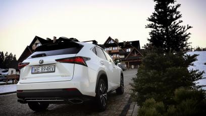 Lexus NX 300 - galeria redakcyjna (2)