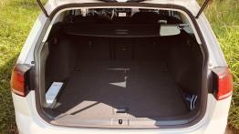 Volkswagen Golf Alltrack 2.0 TDI 184 KM - galeria redakcyjna - baga?nik