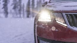 Ze Skodą w Laponii – testujemy napęd na cztery koła