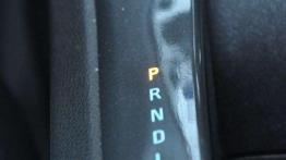 Opel Ampera - zachcianka