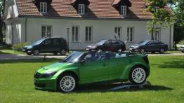 Pięć smaków i wisienka - Skoda