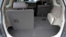 Chevrolet Captiva - sztuka urzekania