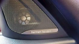 BMW Seria 1 F20-F21 Hatchback 5d 118i 170KM - galeria redakcyjna - głośnik w drzwiach przednich