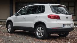 Volkswagen Tiguan SUV Facelifting 1.4 TSI BlueMotion 160KM - galeria redakcyjna - widok z tyłu