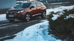 Peugeot 3008 - galeria redakcyjna