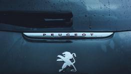 Peugeot 208 GTI - galeria redakcyjna