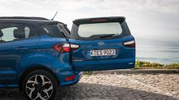 Ford Ecosport – dzika karta