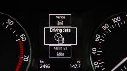 Skoda Fabia III Hatchback 1.0 MPI - galeria redakcyjna - komputer pokładowy