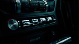 Ford Mustang GT - galeria redakcyjna