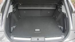 DS 7 Crossback 2.0 BlueHDI 180 KM - galeria redakcyjna