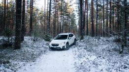 Subaru XV - galeria redakcyjna - widok z przodu