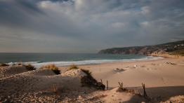 Ford Ecosport – dzika karta