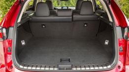 Lexus NX 300h (2015) - wersja amerykańska - bagażnik