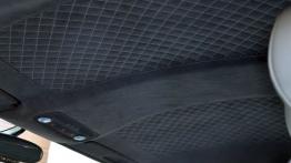 Audi R8 Coupe Facelifting 5.2 FSI 525KM - galeria redakcyjna - podsufitka