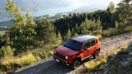 Jeep Renegade Trailhawk (2015) - wersja europejska - widok z góry