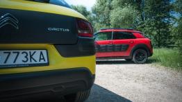 Citroen C4 Cactus PureTech & BlueHDi - galeria redakcyjna - emblemat