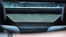 Opel Ampera - zachcianka