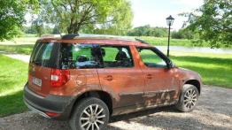 Pięć smaków i wisienka - Skoda