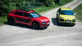 Citroen C4 Cactus PureTech & BlueHDi - galeria redakcyjna - widok z góry