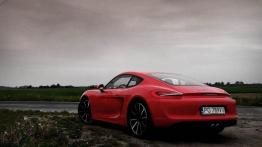 Porsche Cayman II Coupe 3.4 V6 325KM - galeria redakcyjna - widok z tyłu