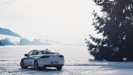 Opel Insignia 2.0 Turbo 260 KM - galeria redakcyjna - widok z tyłu