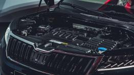 Skoda Kodiaq - galeria redakcyjna