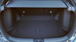 Honda Civic X – turborewolucja