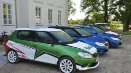 Pięć smaków i wisienka - Skoda