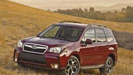 Subaru Forester IV - wersja amerykańska - lewy bok