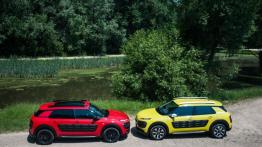 Citroen C4 Cactus PureTech & BlueHDi - galeria redakcyjna - widok z góry