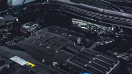 Skoda Kodiaq - galeria redakcyjna