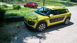Citroen C4 Cactus PureTech & BlueHDi - galeria redakcyjna - widok z góry