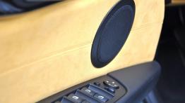 BMW Z4 E89 Roadster sDrive35is 340KM - galeria redakcyjna - głośnik w drzwiach przednich