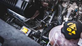 Fiat Tipo 1.4 16V Lounge - galeria redakcyjna