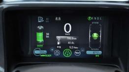 Opel Ampera - zachcianka