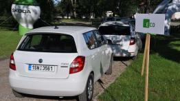 Pięć smaków i wisienka - Skoda