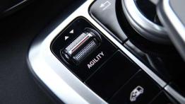 Mercedes klasy V - najlepszy van świata