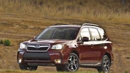 Subaru Forester IV - wersja amerykańska - lewy bok