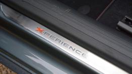 Seat Leon III X-Perience - galeria redakcyjna - listwa progowa