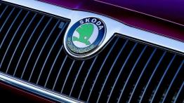 Skoda Felicia - logo