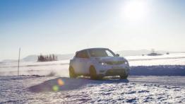 Nissan Juke Nismo RS (2014) - wersja europejska - widok z przodu