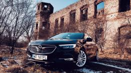 Opel Insignia 1.5 Turbo 165 KM - galeria redakcyjna - widok z przodu