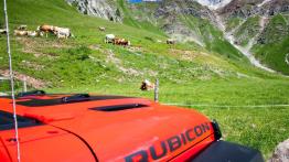 Zrozumiałem, po co istnieje Jeep. Wrangler, Gladiator i cała reszta!