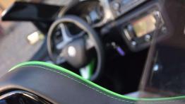 Pięć smaków i wisienka - Skoda