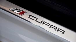 Seat Leon III Cupra ST (2015) - galeria redakcyjna - listwa progowa